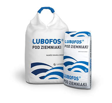 10.-lubofos_podziemniaki