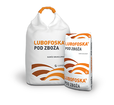 4.-lubofoska_podzboza