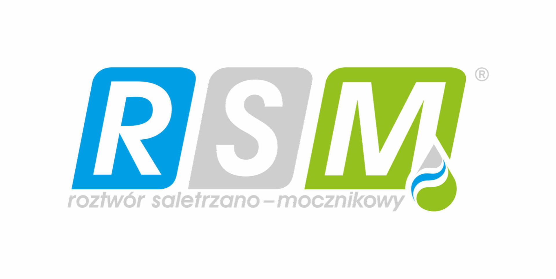 6.-RSM-1
