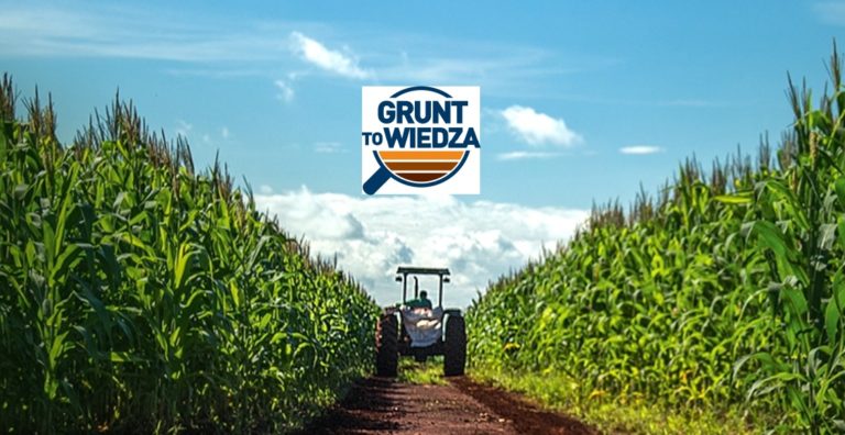 Grunt-to-wiedza